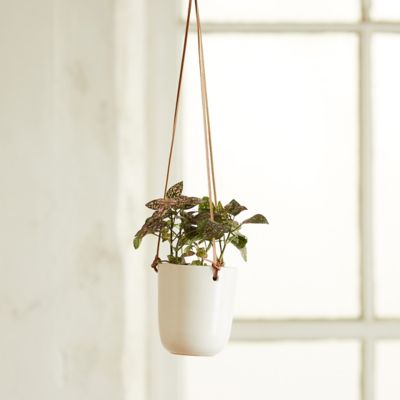 Hanging Ceramic Pot