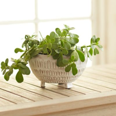 Footed Organic Lines Bowl Pot