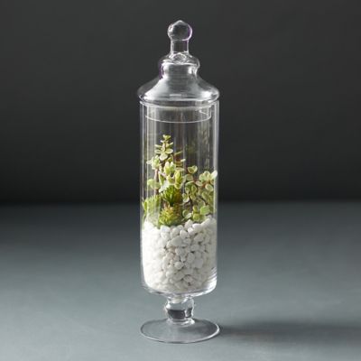 Large Apothecary Jars Trendy Counter Display Shabby Chic Potpourri Vintage  Inspired Storage Decorative Heavy Glass Terrarium Canisters 