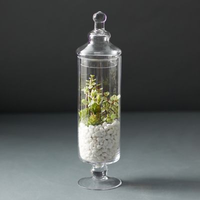 SOLUSTRE 15pcs Liquid Containers Glass Containers Terrarium Glass Tubes  Clear Container Plant Glass Container with Lid Cylinder Bottle with Lid  Vials