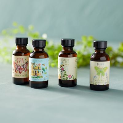 Daydream Simple Syrups, Set of 4