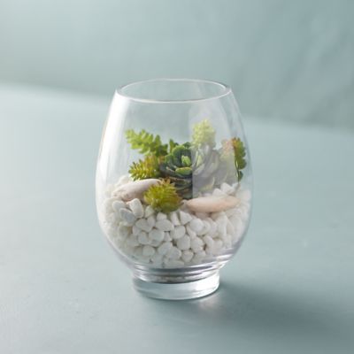 Glass Terrariums + Terrarium Supplies - Terrain