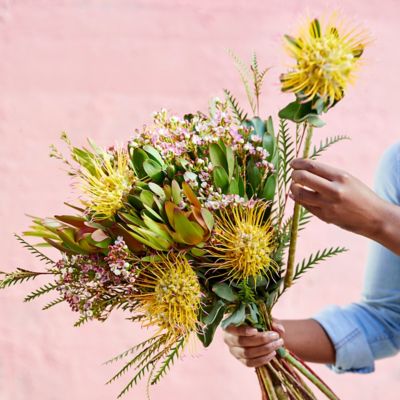 Pincushion, Leucadendron + Waxflower Bouquet