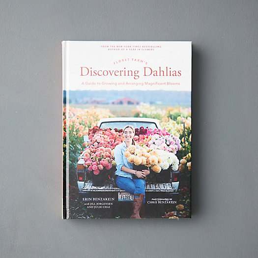 View larger image of Discovering Dahlias