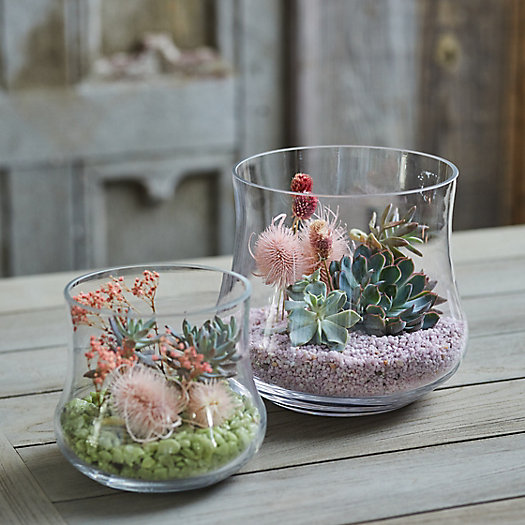 View larger image of Curved Terrarium