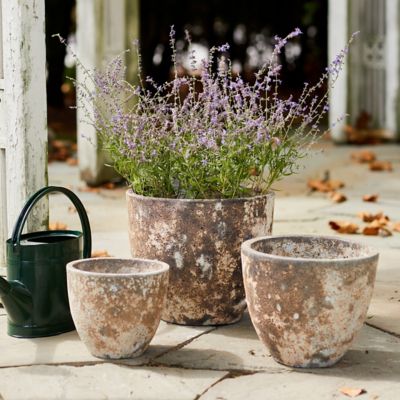 Barnacle Rounded Egg Planter