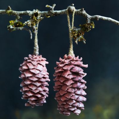 Waxed Pinecone Ornaments, Set of 2