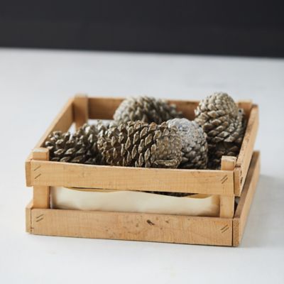 Wax Pine Cone Crate