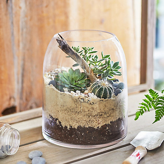 View larger image of Domed Terrarium