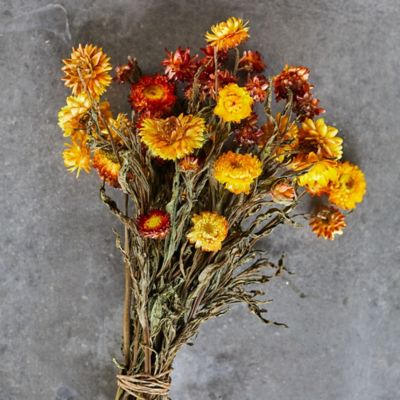 Faux, Dried + Preserved Flowers  Stems, Bouquets + Wreaths for Indoor  Decorating - Terrain