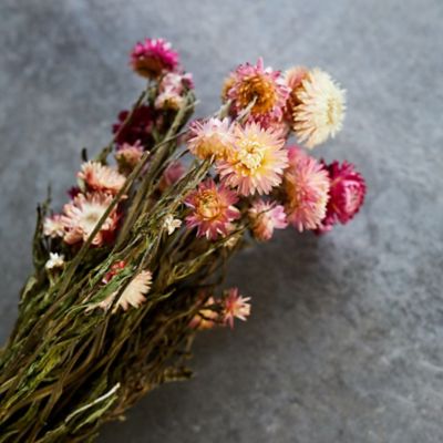 Right Side Hand Floral Dust Dried Flower Confetti