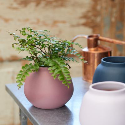 Bowl Ceramic Planter