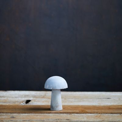 Colorful Iron Mushroom, Small