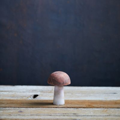Colorful Iron Mushroom, Small