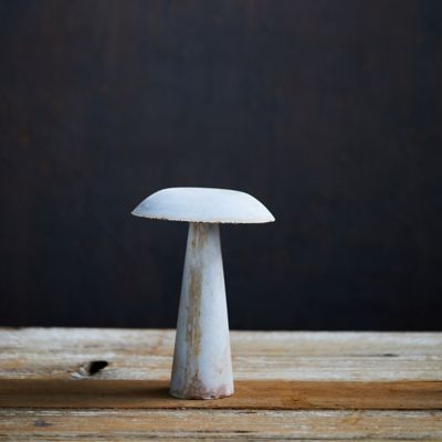 free-photo-poisonous-mushroom-autumn-fungus-mushroom-free