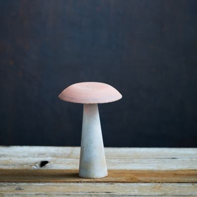 Colorful Iron Mushroom, Flat Top