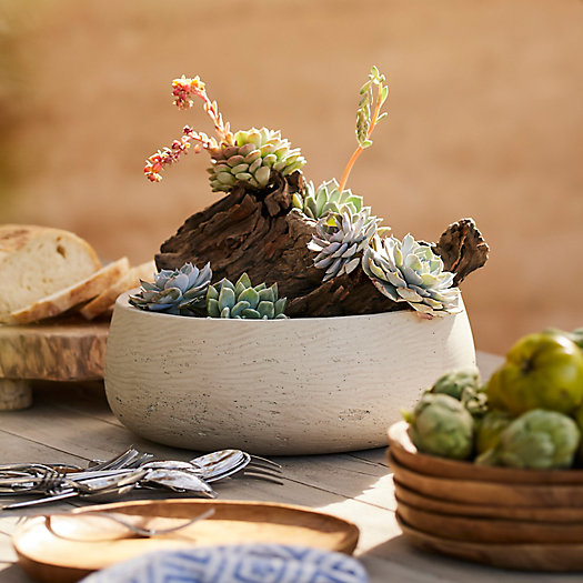 View larger image of Shop the Look: Desert-Inspired Table Centerpiece