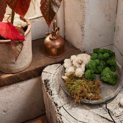 Preserved Reindeer Moss Balls 4 (Set of 3)