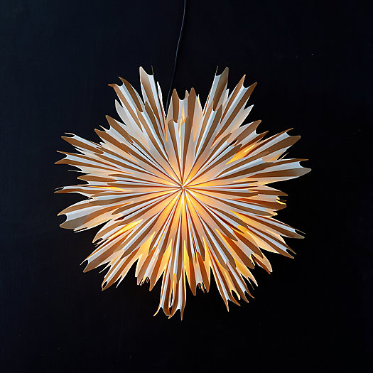 View larger image of Flower Pendant Light