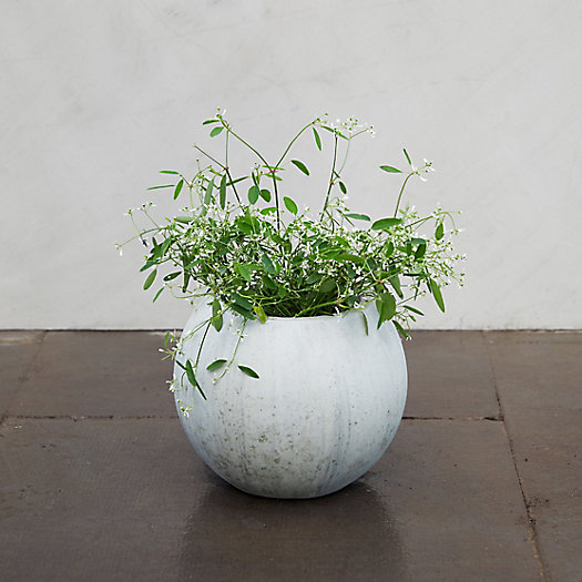 View larger image of Mossy Sphere Planter