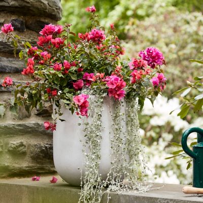 13 Beautiful DIY Flower Pot Ideas for Your Porch or Garden - Bob Vila