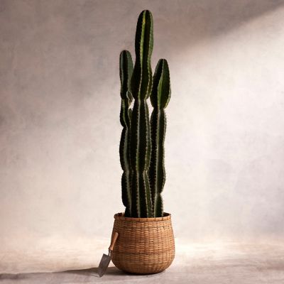 Planters By Silhouette | Bowls, Pots, Urns + Troughs - Terrain