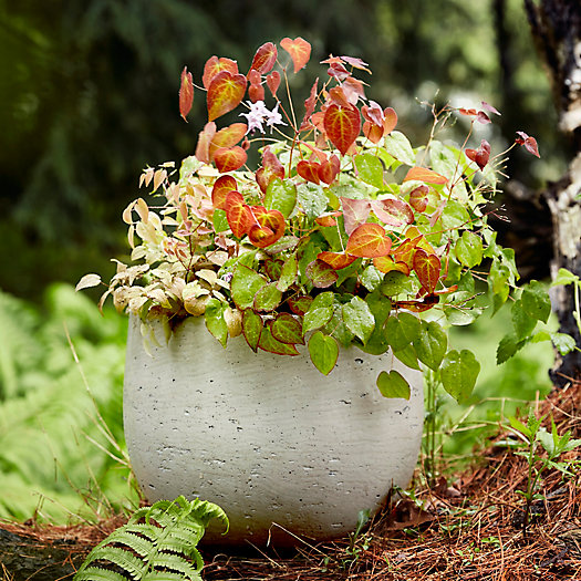 View larger image of Fiber Cement Orb Planter, 16"