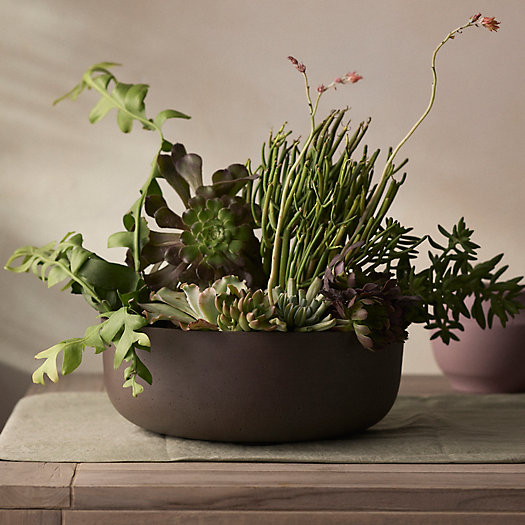 View larger image of Fiber Rounded Bowl Planter, 10"