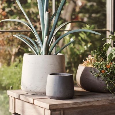 Planters by Size  Small, Medium, Large + Extra Large Plant Pots - Terrain