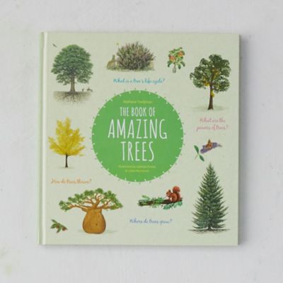 The Book of Amazing Trees