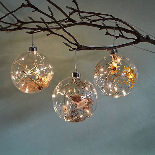 View larger image of Lit Glass Orbs with Dried Botanicals