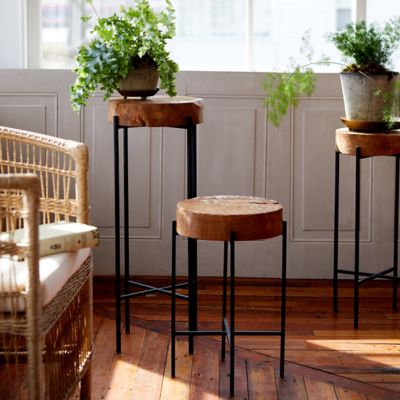 Teak Top + Iron Plant Stand - Terrain