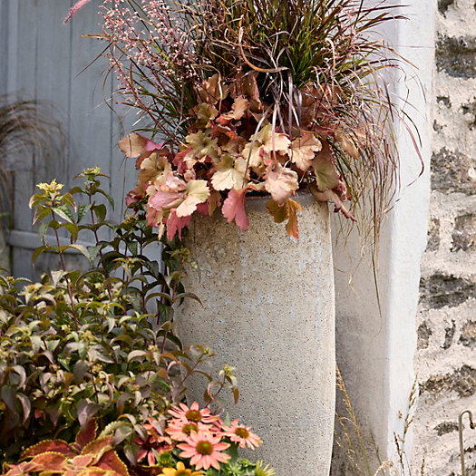 View larger image of Barnacle Tall Modern Pot, 10"