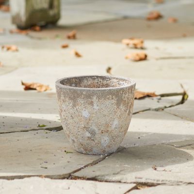 Barnacle Rounded Egg Planter, 10"