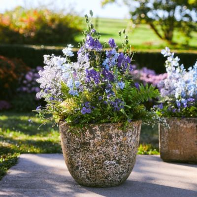 Barnacle Rounded Egg Planter, 15"