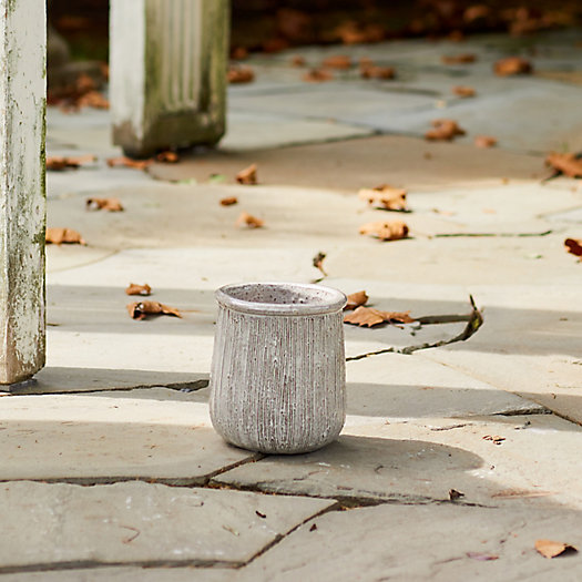 View larger image of Roll Top Ceramic Planter, 9"