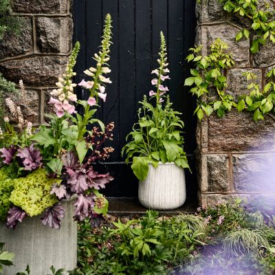 What Are The Most Popular Planter Materials For Garden Pots?