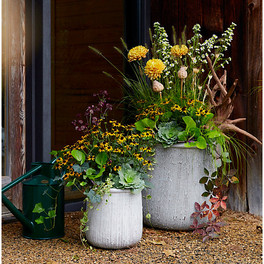 View larger image of Roll Top Ceramic Planter, 19"