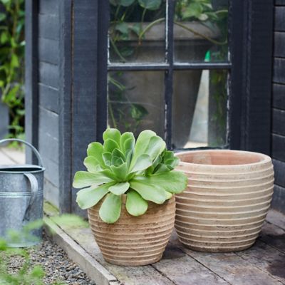 Organic Ceramic Tabletop Planters