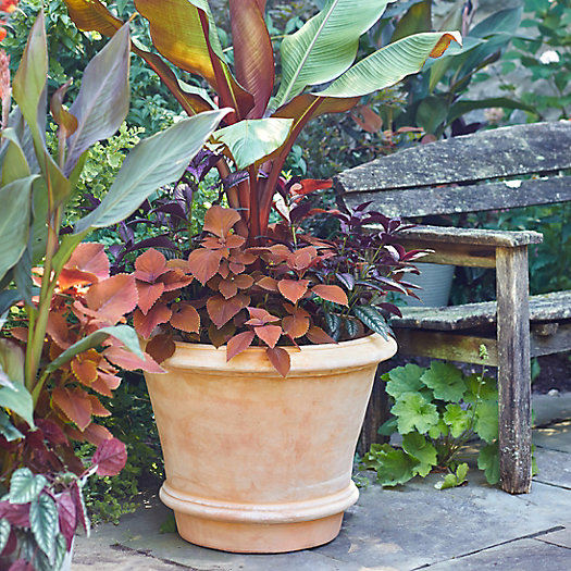 View larger image of Tapered Terracotta Planter