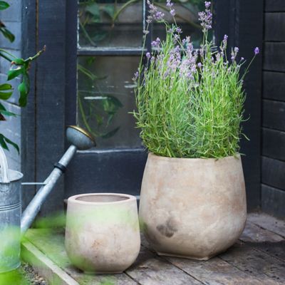 Organic Ceramic Tabletop Planters