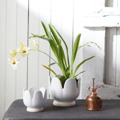 Tulip Ceramic Planter, 6"