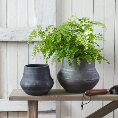 Barnacle Tall Modern Pot, 16