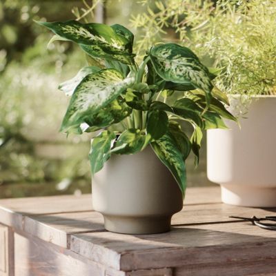 Planters by Size  Small, Medium, Large + Extra Large Plant Pots - Terrain