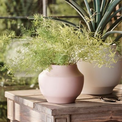 Mod Ceramic Jar Planter, 4"