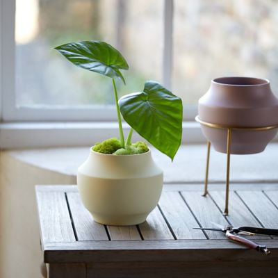 Mod Ceramic Jar Planter, 6"