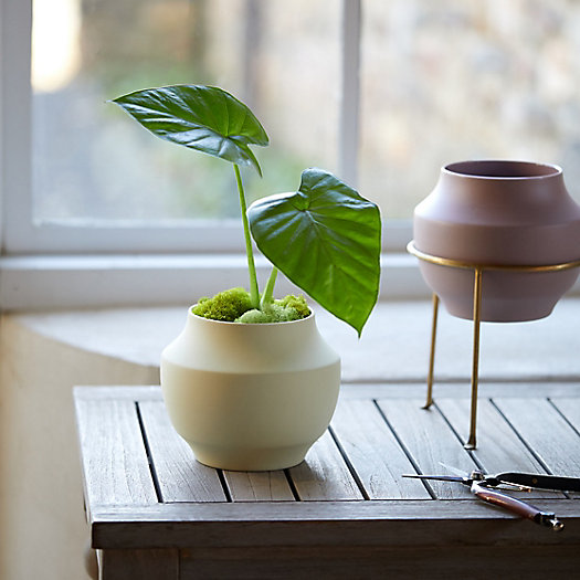 View larger image of Mod Ceramic Jar Planter, 6"