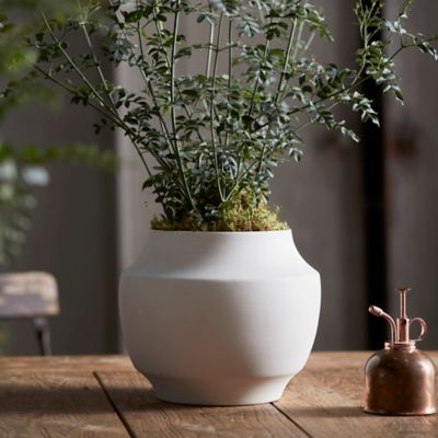 Mod Ceramic Jar Planter 6"