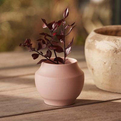 Mod Ceramic Jar Planters, Set of 2