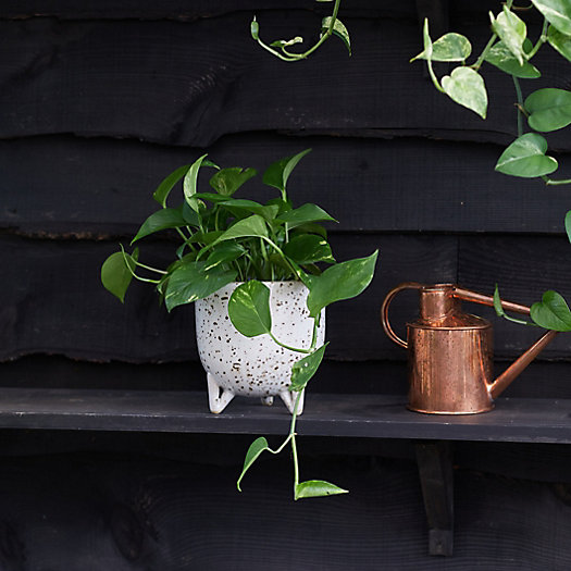 View larger image of Pothos Marble, Speckled Ceramic Pot
